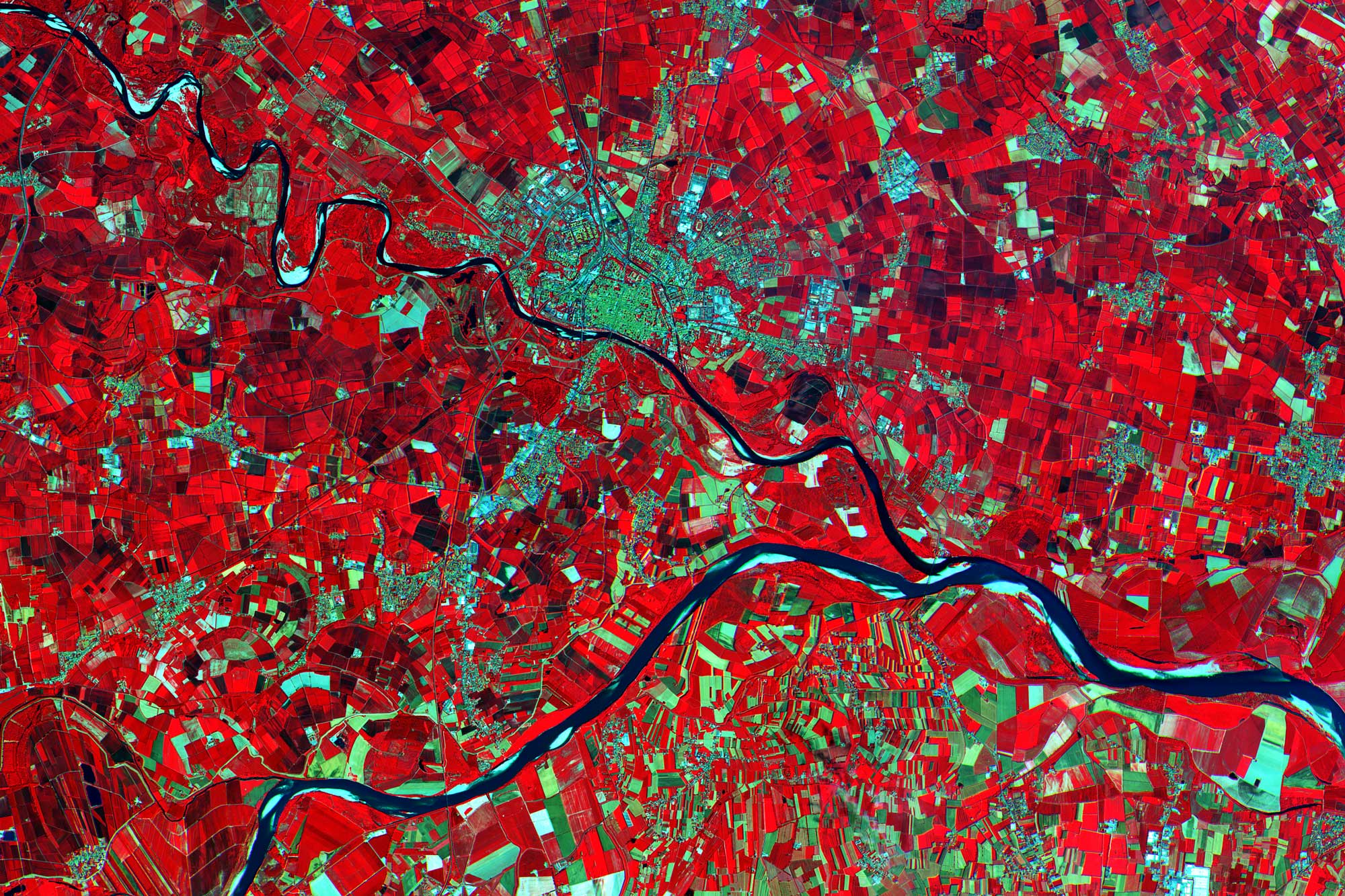 Colour infrared fields around Pavia
